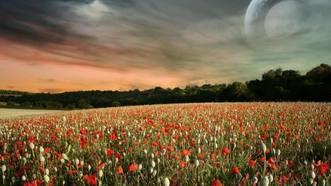 Rust怎么写GUI程序?